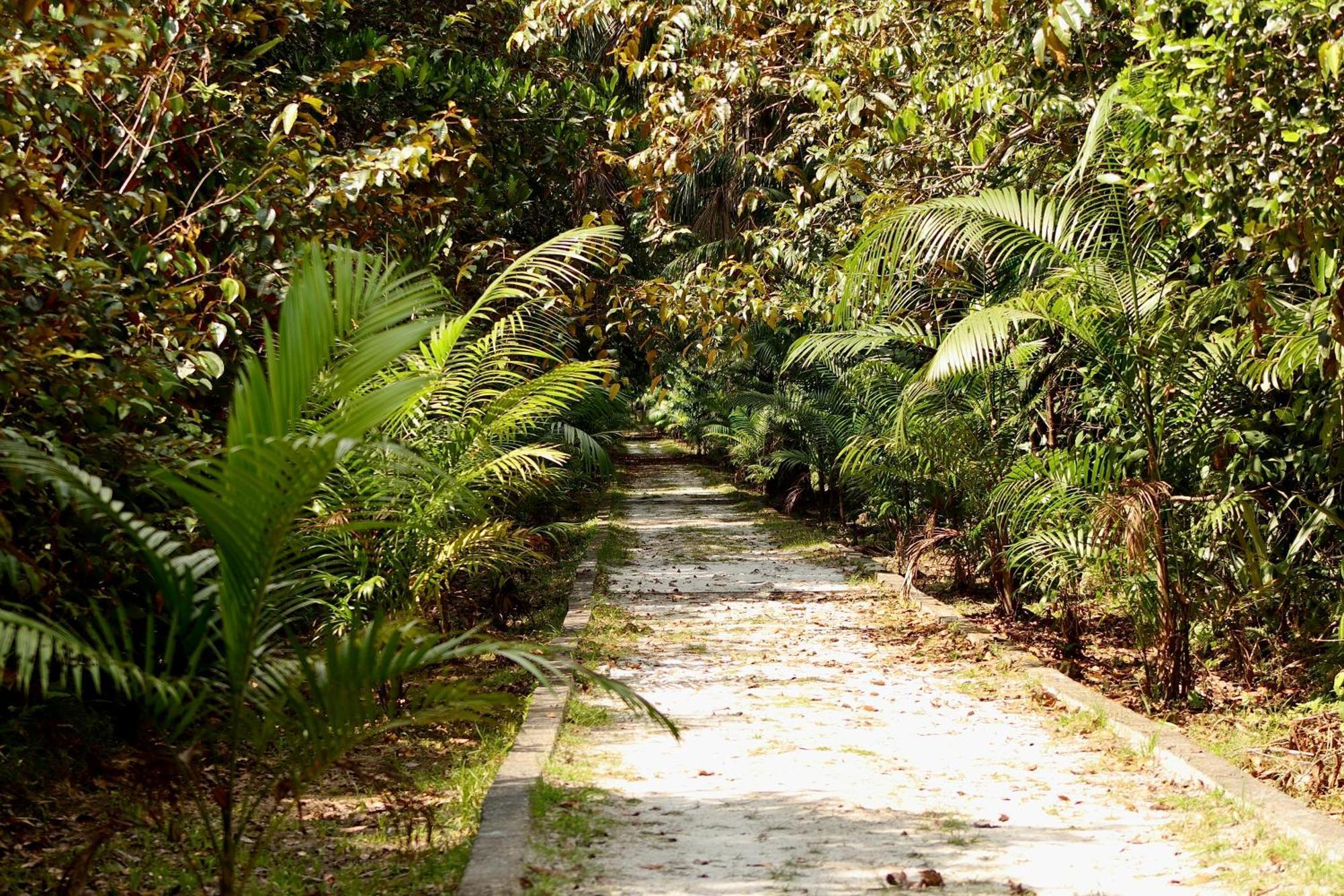 Paraiso Do Calango Azul